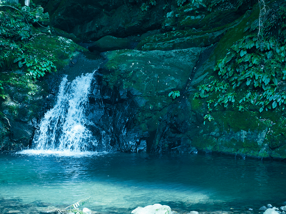 SENSHU TOWEL｜Walk with water