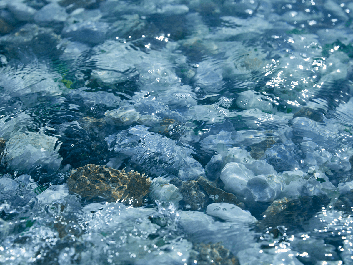 泉州タオル｜水をまもる